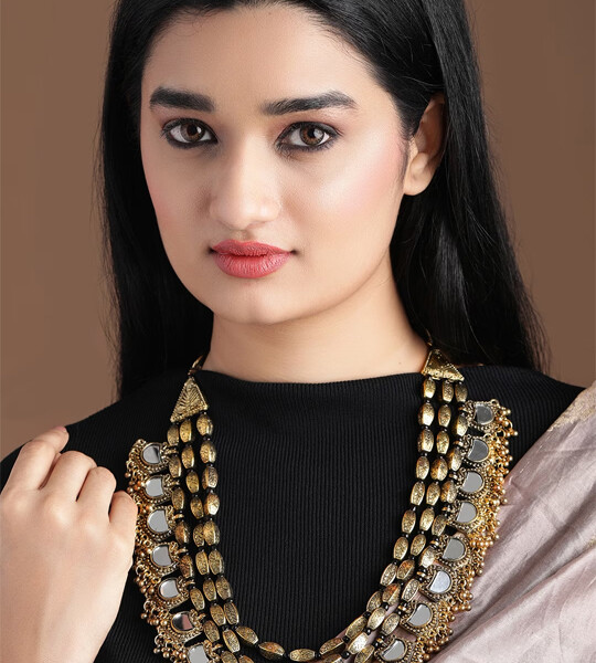Silver & Gold-Toned Oxidised Alloy Handcrafted Necklace