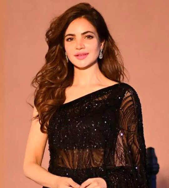 Sangria Black Sequinned Embellished Saree